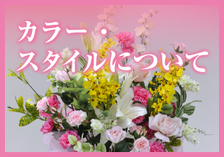 カラー・スタイルについて